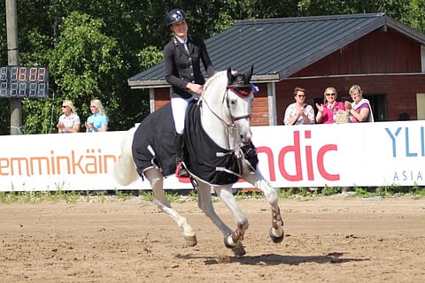 Hanna Tardiveau ja muhkea holsteinori Prinz Clintus osoittivat parasta päivän kuntoa tänään Laaksolla.