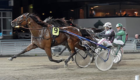 Onkel Invest Oy:n Expensive River esitti hienon voittokirin karsinnoissa.