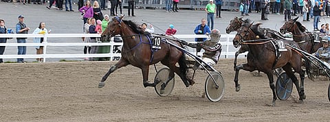 Callela Ladyboss voitti Stakesin finaalin SE-aikaa 11,7a sivuten. Arkistokuva.