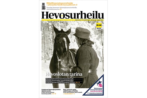Hevoslotta rakastaa hevosia