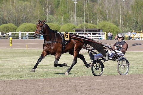 Propulsion valloitti UET Trotting Masters -finaalin. Kuva: HU arkisto