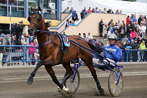 Björn Goop ja Timoko. Kuva. Jarno Unkuri
