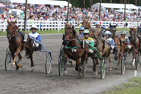 Viriori on tottunut juoksemaan kärkipaikalla.