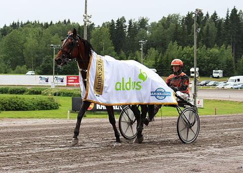 Heinäkuussa Lahdessa Hambon voittanut Stonecapes Picasso loukkaantui tiistain hiitillä.