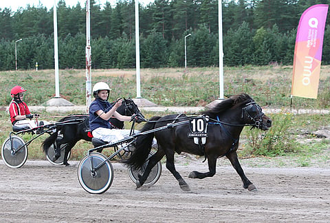 Keiju-Prinssi ja Julia Kiukas jahtaavat toista ponikuninkuutta.