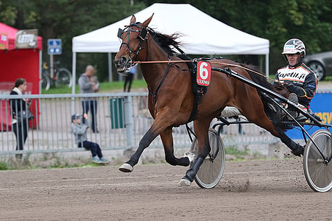 Gisela Luxi on kolmannen Toto5-kohteen suosikki.