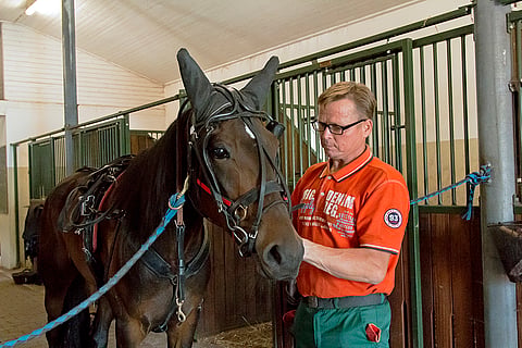 Ratu Royale ja omistaja-kasvattaja-valmentaja Vesa Santanen.