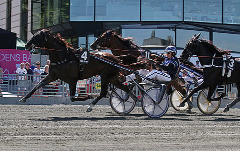 Elitloppet-lounasravit tuottivat voiton suomalaiskasvattajalle. Kuva: Jarno Unkuri.