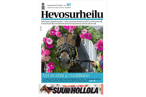 Costello on Nordic King. Kuva: Ada Pykäläniemi.