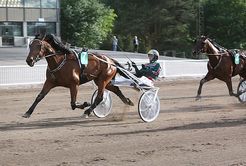 Golden Eleven aiheutti Toto65-avauskohteessa suuryllätyksen.