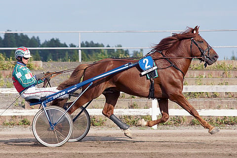 Jontikka vei Toto65-avauskohteen keulasta.
