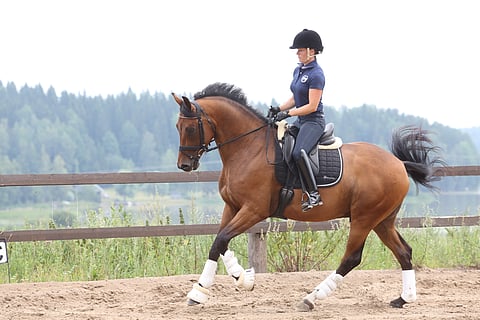 Dewdrop's Johnny Depp on tulisieluinen.