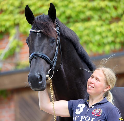 Yvonnen teräsmies