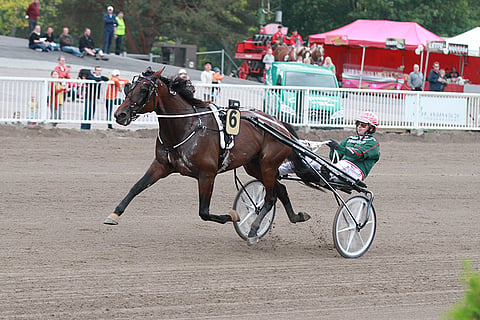 Ranch Kelly palaa Vermoon voittajana.