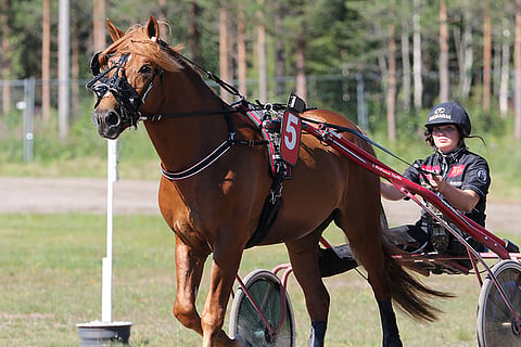 Vixeli on suomenhevosten derbyssä loistava merkki Toto75-lapulle.