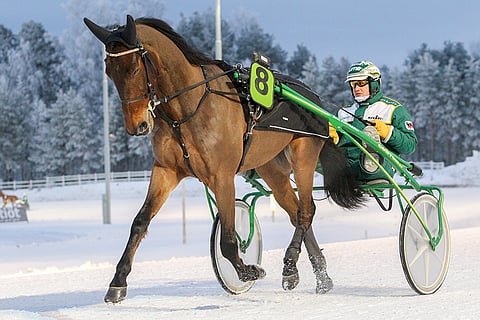Tapio Mäki-Tulokkaan valmentama Nitro Diablo aloitti itsenäisyyspäivän Toto5-rivin Pilvenmäellä.