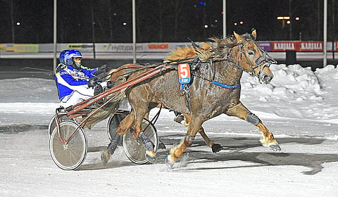 Esa Holopainen ajoi Laksin Lyytillä viime vuoden alkupuolella kolme voittoa.