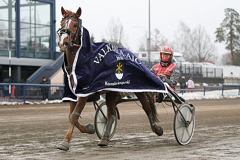 Santtu Raitala ajoi Valkeala-ajon yllättäjänä voittanutta Josveisia.