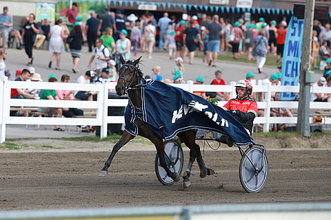 Cocktail Princess on illan ideavarma.