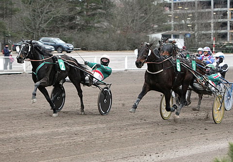 Hannu Torvisen ohjastama Stardust Fibber ehti kuin ehtikin keulassa ravanneen April Sisun ja Jukka Torvisen ohi.