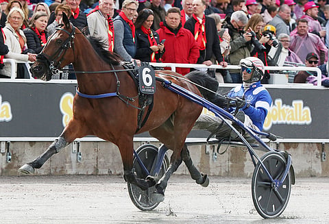 Uza Josselyn oli kuudes Elitloppet-karsinnassa 2019, kärryillä Gabriele Gelormini. Kuva: HU arkisto