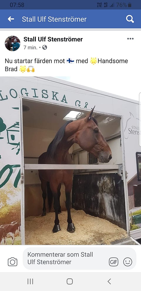 Handsome Brad lähdössä Kouvolaan. Kuva: Stallstenströmer-twitter