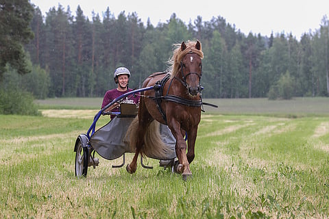 Parvelan Retu ja Petri Laine kotimaisemissa Oriveden Eräjärvellä. Kuva Anu Leppänen.