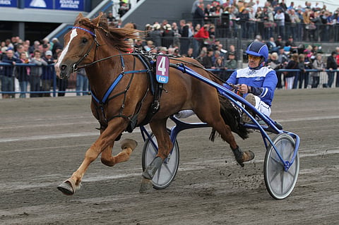 Välähdys. Kuva: Roosa Lindholm