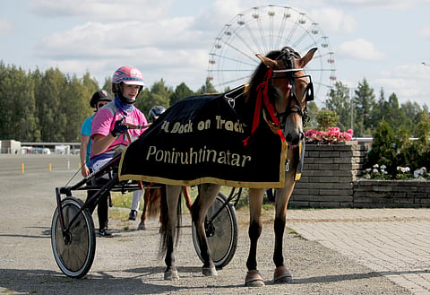 Oona Halmeen ohjastama ja valmentama Odd Molly ei ollut valmis lopettamaan voitokasta kauttaan. Paalulta takaponeja karkuun lähtenyt ruhtinatarkisan ensikertalainen voitti varmasti.
