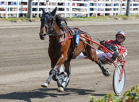 Crystal Cool. Kuva: Anu Leppänen