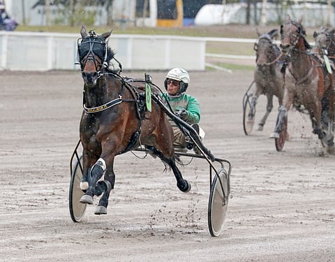 Excalibur It starttaa Teivossa uansa 80. kilpailun. Voitto tänään kahden tuhannen euron ykköspalkinnosta saattasi ruunan enää 1 751 euron päähän 100 000 euron voittosummasta.