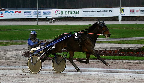 Jarmo Saarelan ajama An-Aiolos voitti samankaltaisissa olosuhteissa kuin Lahdessa muutama viikko sitten.