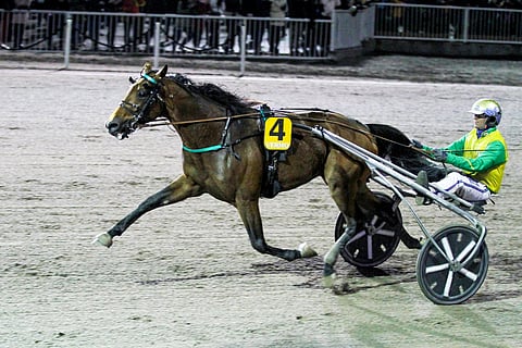 Face Time Bourbon matkaa Italiaan. Kuva: Roosa Lindholm