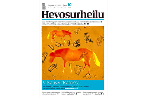 Virtsakivet ovat harvinainen, mutta vakava sairaus. Kannen kuva: Anu Leppänen