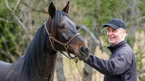 Antero Tupamäen Atupem oli Hevosurheilun Kuukauden hevonen vuonna 2019.