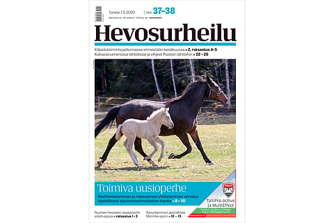 Ravuritamma adoptoi ratsuvarsan. Kannen kuva: Anu Leppänen.