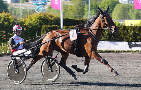 Better Boss voitti keväällä Ruotsissa 75-lähdönkin. Turnee päättyi Solvallan Elitloppet-viikonlopun finaaleihin.
