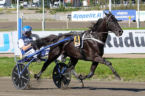 Pekka Korpi ja Hotshot Luca ovat kotiradan edustajat Finlandia-ajossa.