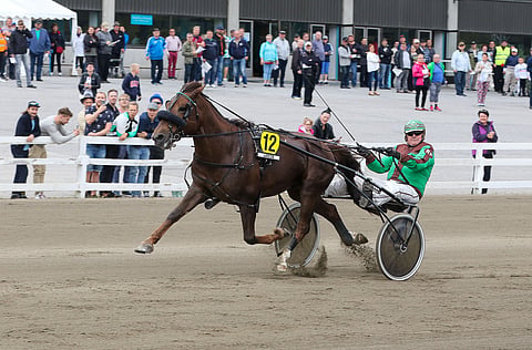 Issakan Valo (kuvassa edellisen valmentajansa Raineri Puikkosen ajamana) on edullinen varma Magic Mondayn Toto65-peliin, jossa on jaossa 50 000 euroa ekstrarahaa.