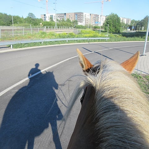 Heikki Mikola ja vieskeriläinen Kullannuppu matkalla kaupunkiin. Kännykän käyttö ratsain ei ole laissa kiellettyä.