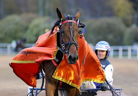 Mascate Matchin superkausi päättyi jännevammaan.