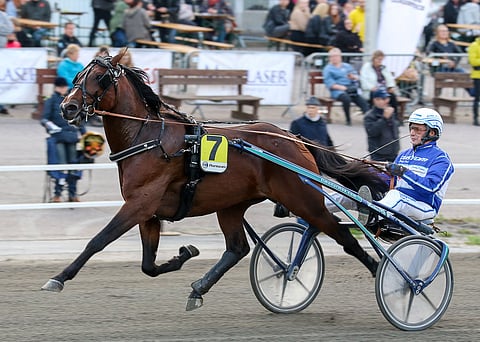 Sahara Jaeburn. Kuva Anu Leppänen