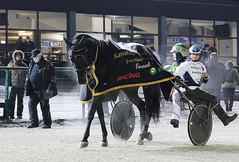 Jukka Torvinen ohjasti Reino Palomäen valmentaman ja Anna Hiltusen hoitaman An-Dorran 3-vuotiaiden tammojen Kasvattajakruunu-voittoon.