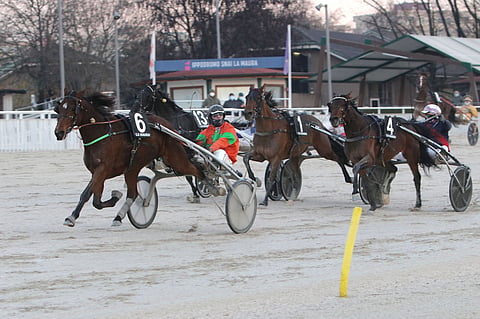 Billie de Montfort voittaa varmasti Gran Premio delle Nazionin. Chief Orlando kirii ulkoa kakkoseksi. Kuva: Gerard Forni
