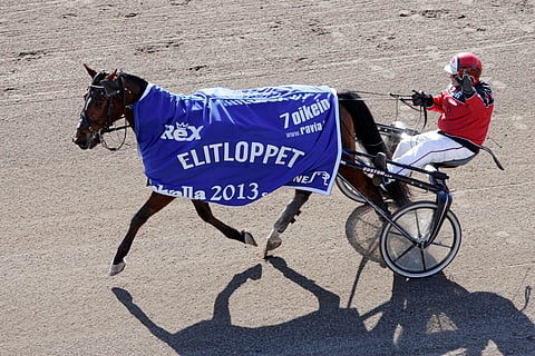 Daniel Palema voitti urallaan 31 kertaa, joista yksi oli Elitloppet-nimikkolähdön voitto Lahden Jokimaalla huhtikuussa 2013. Kärryillä istuu hevosen valmentaja ja vakiohjastaja Risto Airaksinen. Kuva: Tomi Kaminen