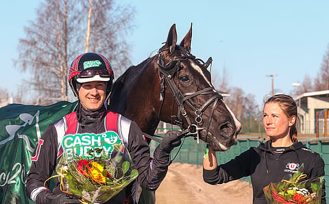 Johan Untersteinerin valmentama ja Amanda Höynän hoitama tuore Seinäjoki Race –sankaritar Dear Friend on voittanut yli kolmanneksen kilpailuistaan ja juossut kovimmillaan tuloksen 10,4a. Kuva: Anu Leppänen.