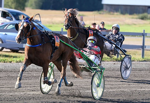 Hvalstad Odin (5) kiri Pertturin (4) takana Ruunaruhtinaan 2020 päätösmatkalla ja samalla kokonaiskilvassa kakkoseksi.