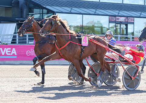 Gelati Cut ja ulomman radan Ecurie D. kävivät kiihkeän kamppailun Elitloppet-karsinnan voitosta.