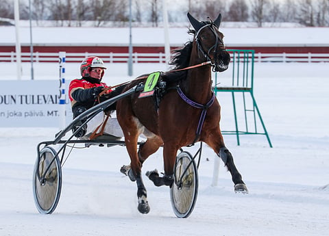 Slippery Runway siirtyi jo kuukauden päivät sitten Tapio Perttuselta Dimitri Hedmanin valmennukseen ja viime viikolla myös Horsepoint Oy:n omistukseen.
