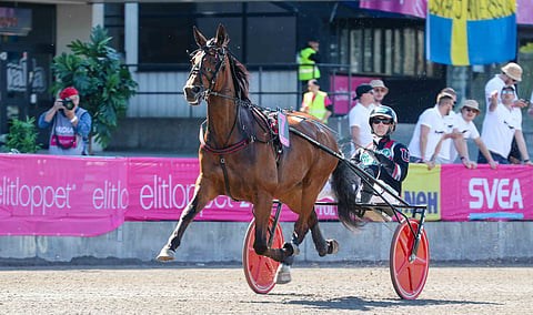 Cyber Lane voitti Halmstadissa, kuva on tämän vuoden Elitloppetista. Kuva: Anu Leppänen
